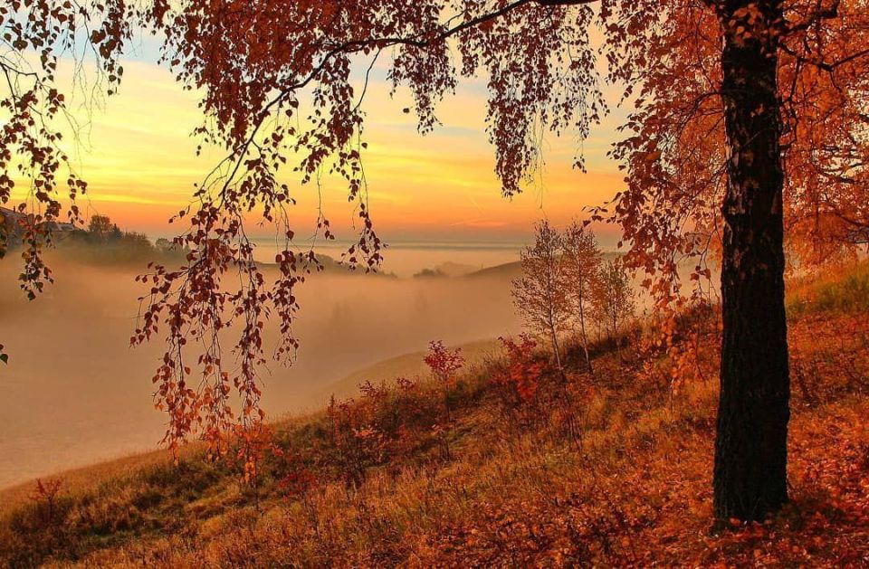 � ������ ���� ���������� , ��� ��� �� � ���� ��������� . ��� ���� ������ �������� , ��� ���� ������� , ��� ����� ��������