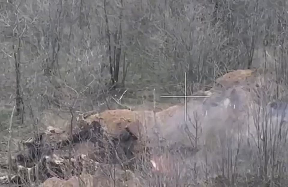 ����� ������ ���������� �� ������ ������