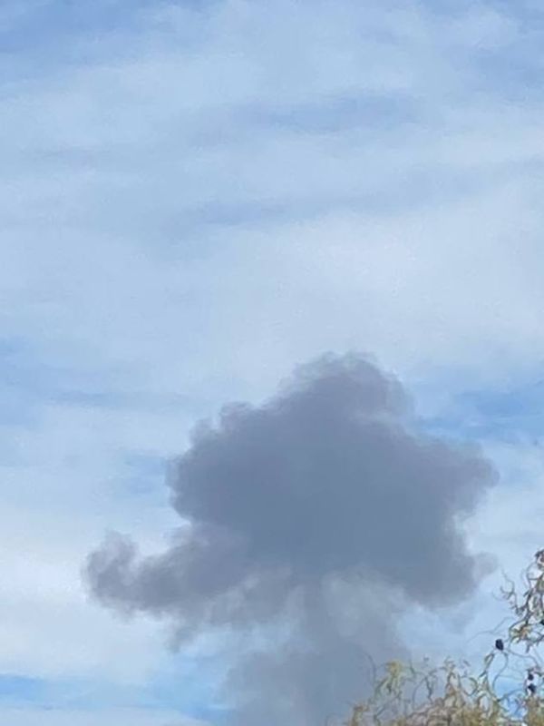 ���������� ������ ������� ����� �� ����� ��� � �������, �������� ���������