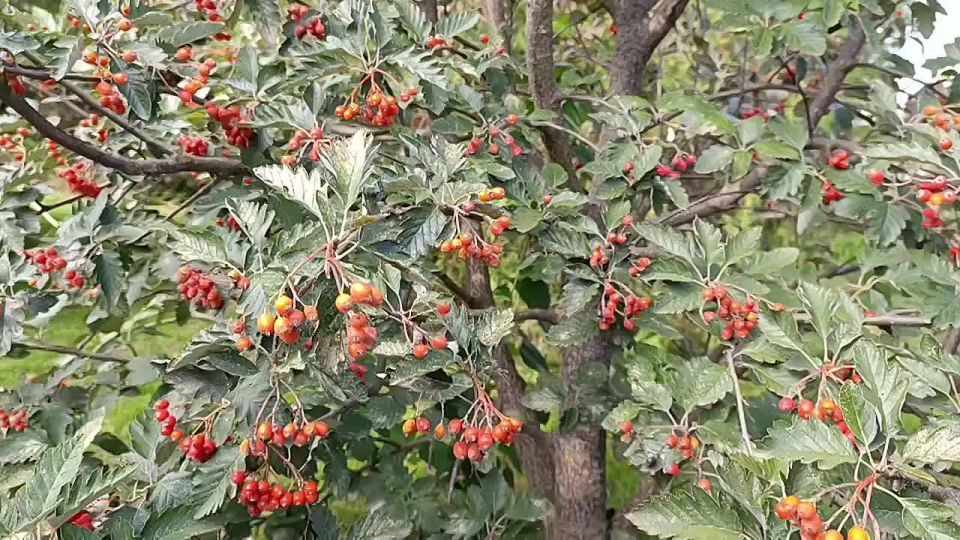 ������ ����, ������ ���������� �������������� ������!