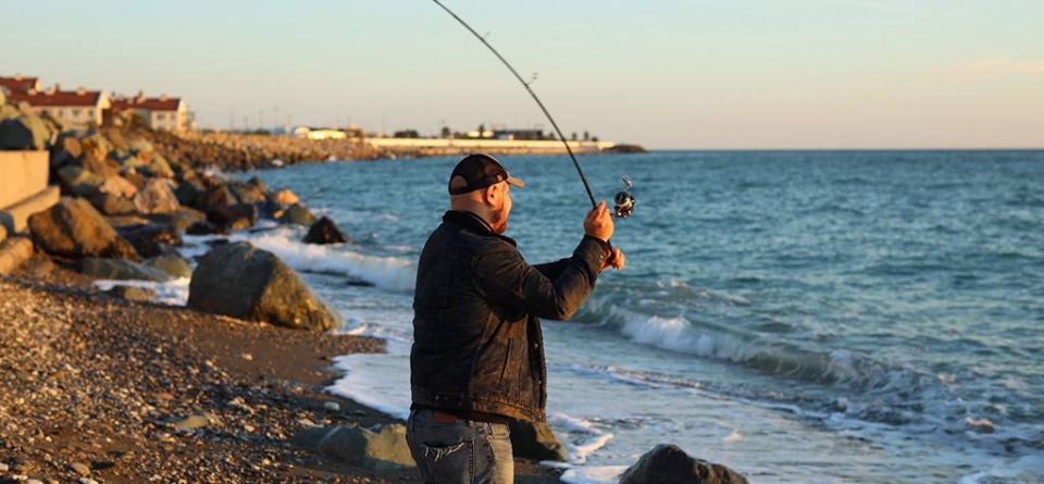    .               , ,   - 