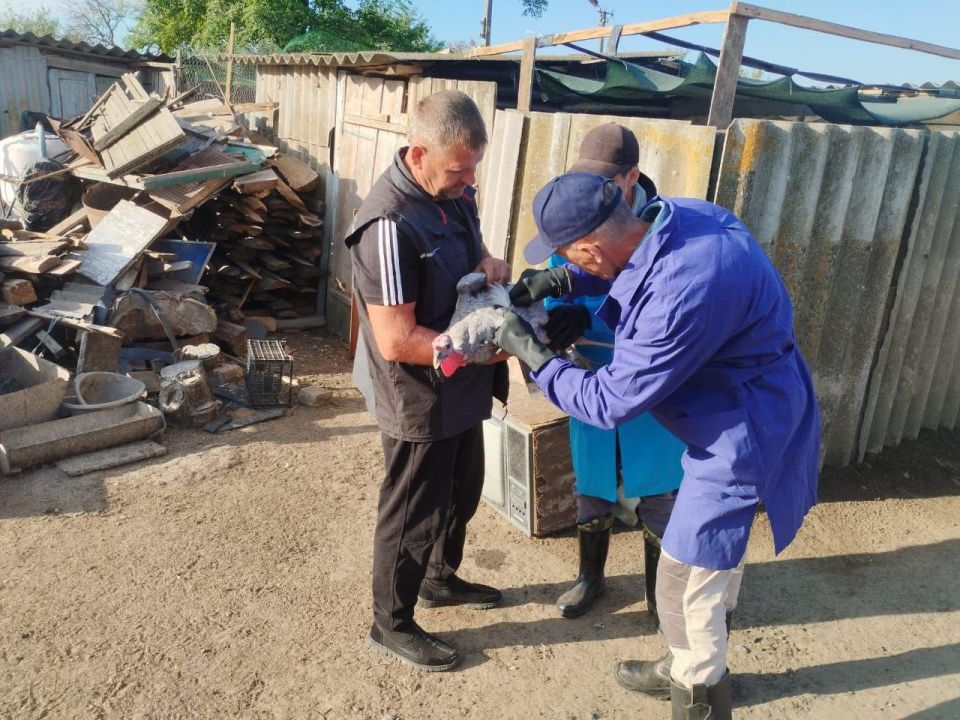 ��������� ���������� ������� ���������� �������� �������� � ���������� �������