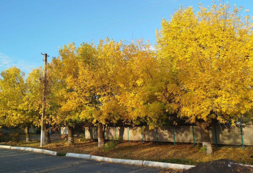 ��������� ����� - ���������� ����������