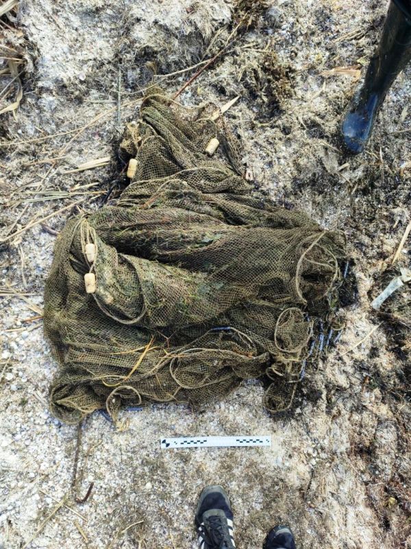 ���������� ������������ ������� ��������� ������������� ���������� ���� � ��������� 48-������� ����������