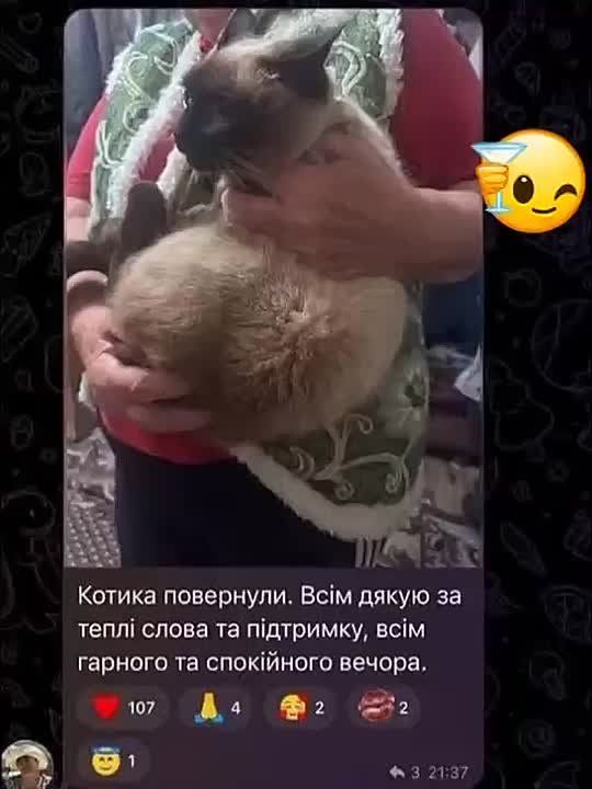 ������� � �������������� "������������" ���� ������� ����������� ������������ � ��� ������� �������� ���������