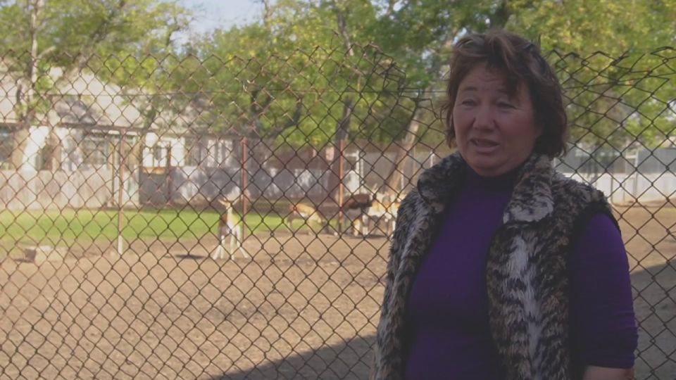 �������� ������: ���� ����������: ����� ���������� ������, ���������� ����������� ��������-����