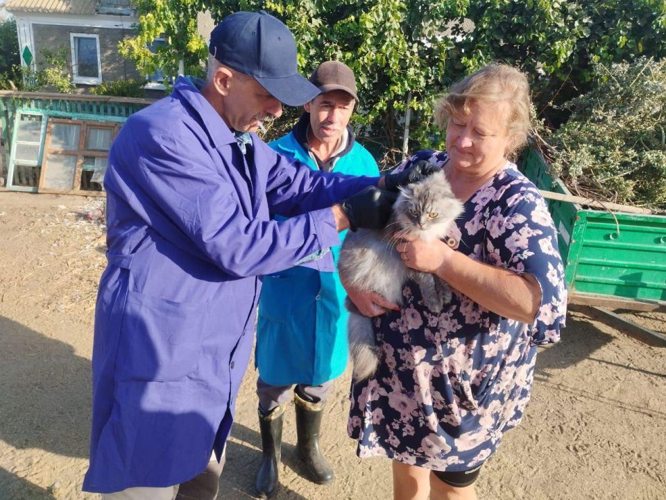 ����� ���� ����� �������� �������� ������������� ������ ��������� � ���������� �������