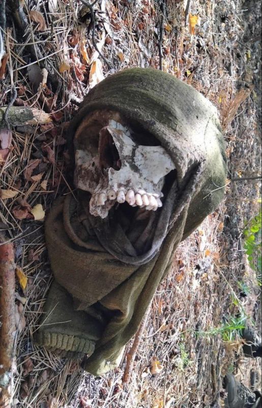 ���� �� �������: ���������� ����������� ������� ����� �� ����� ������� �������� ������