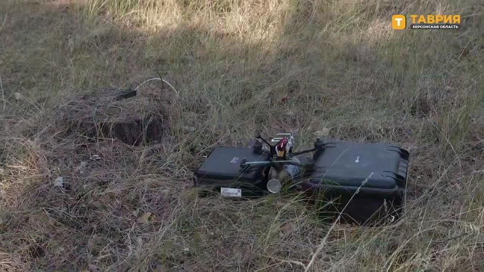 �������������� ������������� ���� �� ����������� ����� "�����" ���������� ����� ���������� ���� � ������ �������� ���