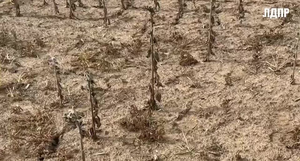 ���� ������� ��������� ��������� ���������!