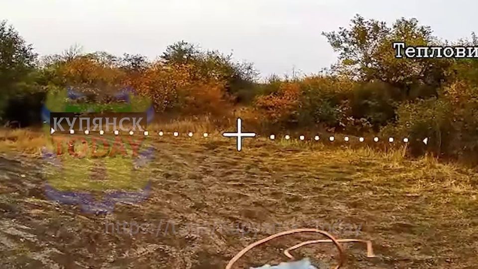 ��������� �����������. ��������� ������������ ������ ���