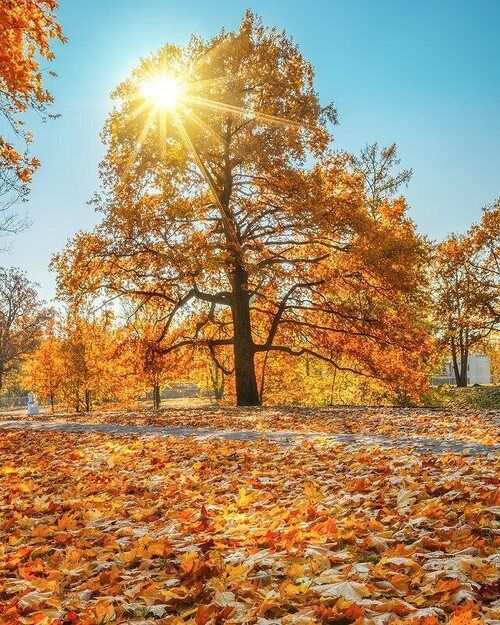 � ������ ���� ���������� , ��� ��� �� � ���� ��������� . ��� ���� ������ �������� , ��� ���� ������� , ��� ����� ��������