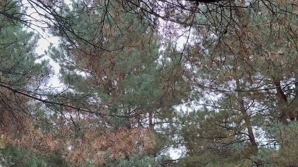 ��� ����� ������� �� ������������ ������� � � �������� �������� ��� ������� ������ ������ ������