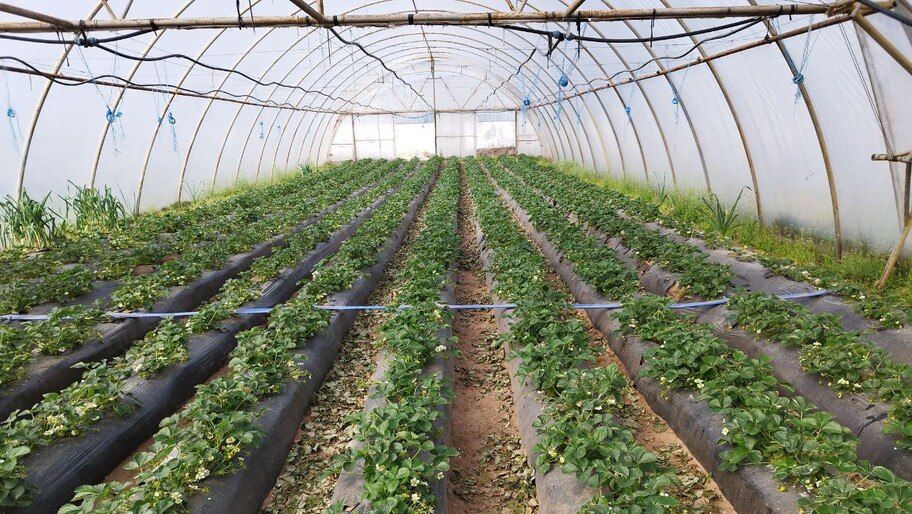 ��������: ������ �������� ������� � �� ����� �� ������ 2024 �. � ���� �����