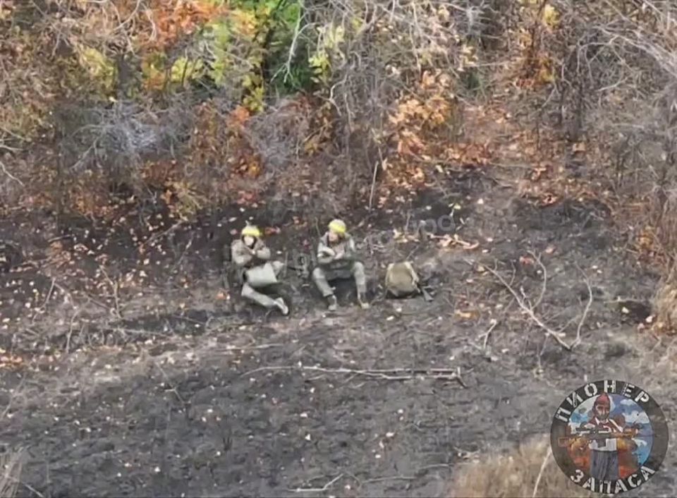 "���" �� �������.. ������ ��������� ��������������� FPV-����� �� ���� �������� ��� �� ��������� �����������