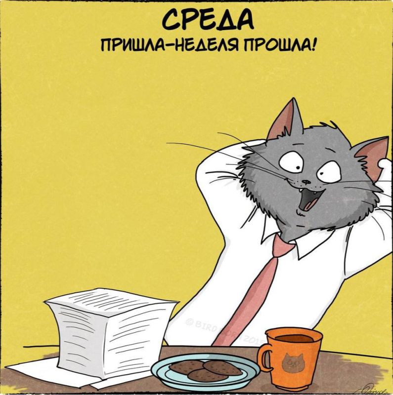 ����� � ����� ����������� ���� ������ �� ��������