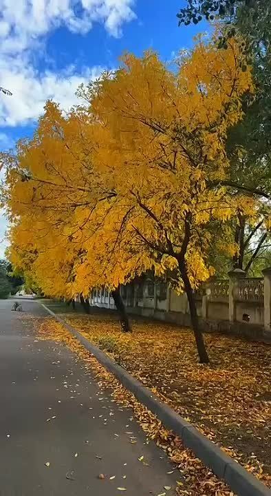 ������ ������ � ��� ��������� ���������