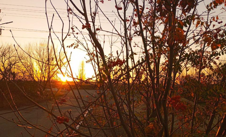 �� ������� �� ��� ��� ��� ���� ����