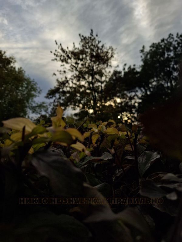 ��������� ����� �� ����� ��������� ��������� ����������� �����-���������� ���������� ������� �������