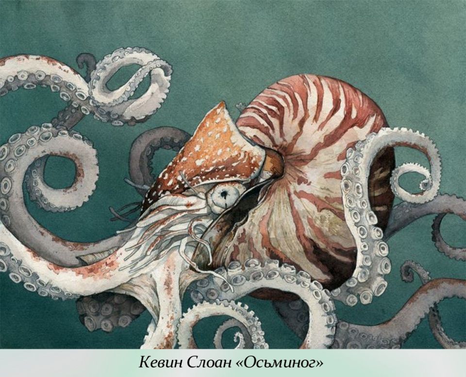 8 ������� - ��������� ���� ���������