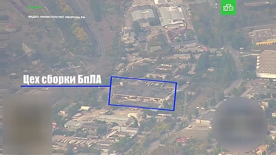 ��� ������ ��� �����: ���������� ��������� ��������� ��� �� ������������ ������������� ��� ��� ��������