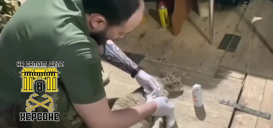 ��� 300.�������� "�������� ������" �� ���