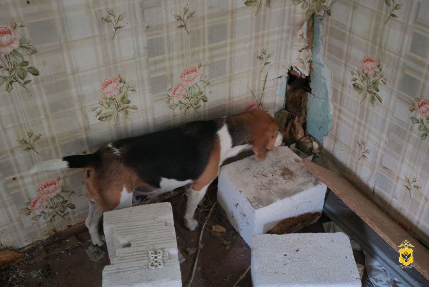 ����������� ������ ������������ �������� � 43-������� ������ ������������� ������