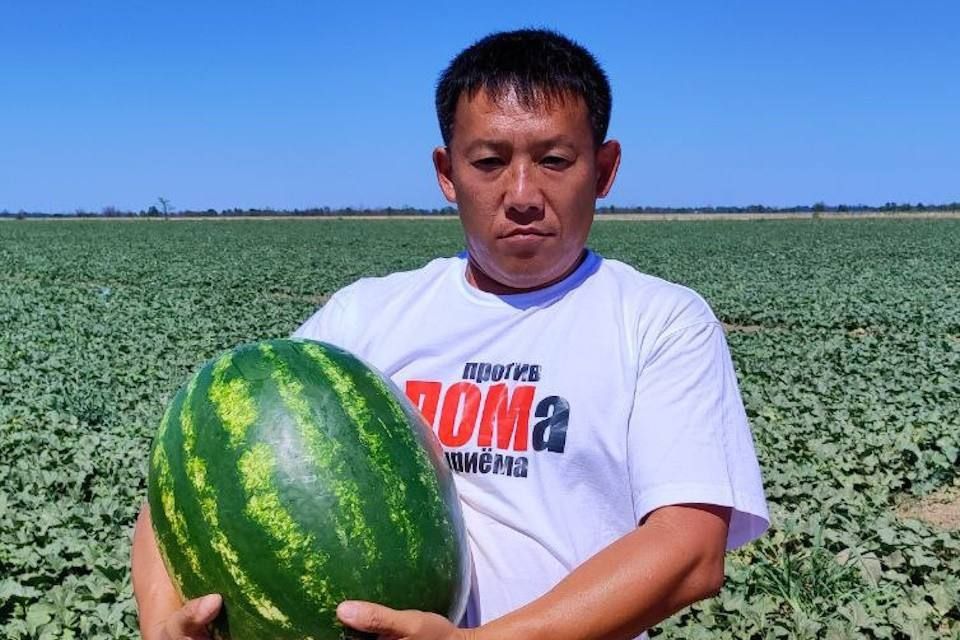 ����� ���, ������, �������������� ���������� �������, ���� ����������� ������������� ������ ��������� ����� � 2025�