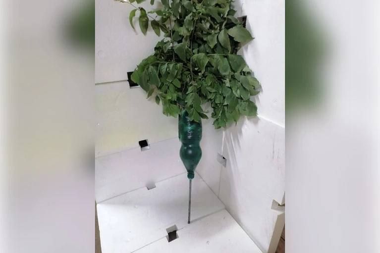 Губернатор Сальдо: ВСУ сбрасывают мины, замаскированные под растения