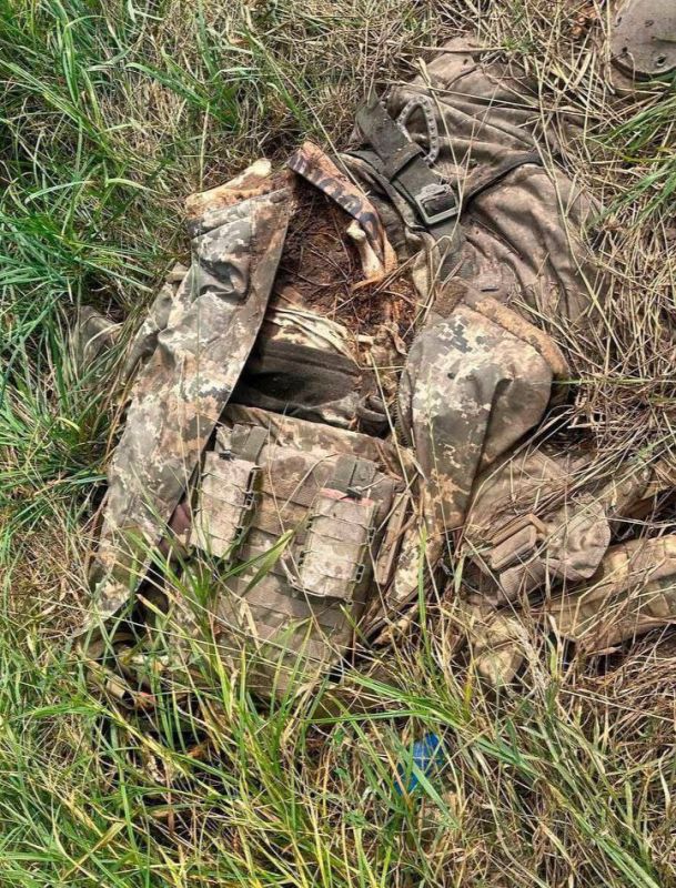 ������ � ������� �������.. ��������-����� ���������� �������