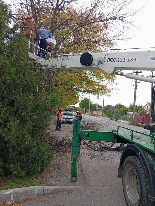 ���� ��������: � ���������� ������� ����������� ������ ������������ ������� ������