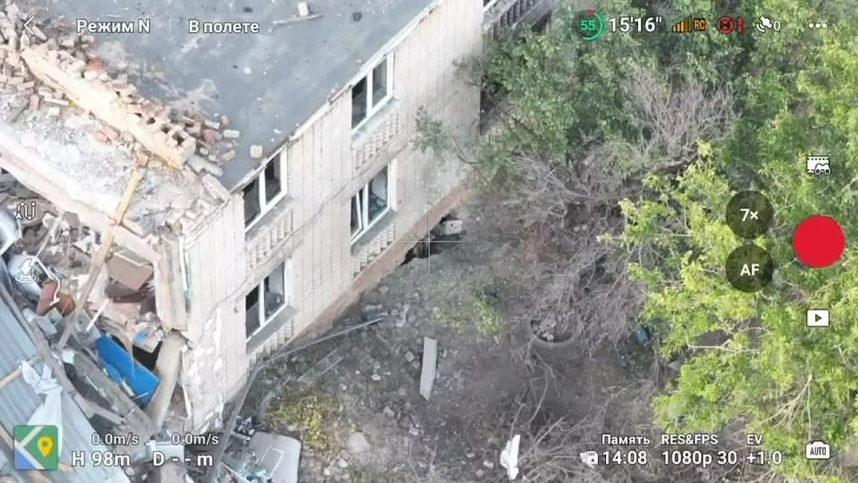 ���������� �����������, ��������� ���