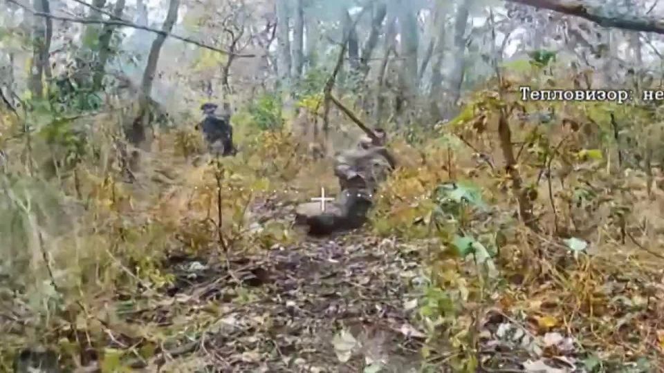 �������������� ��� ����� ��� ���� ����������� �����-��������� �� �����������