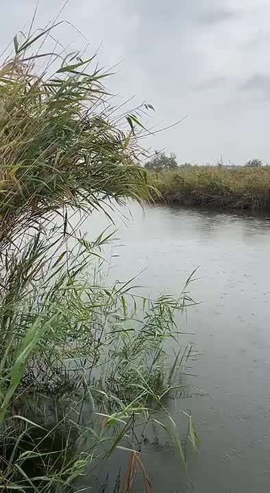 ������, ����������� ���������� �� 9 ������� 2025 ����