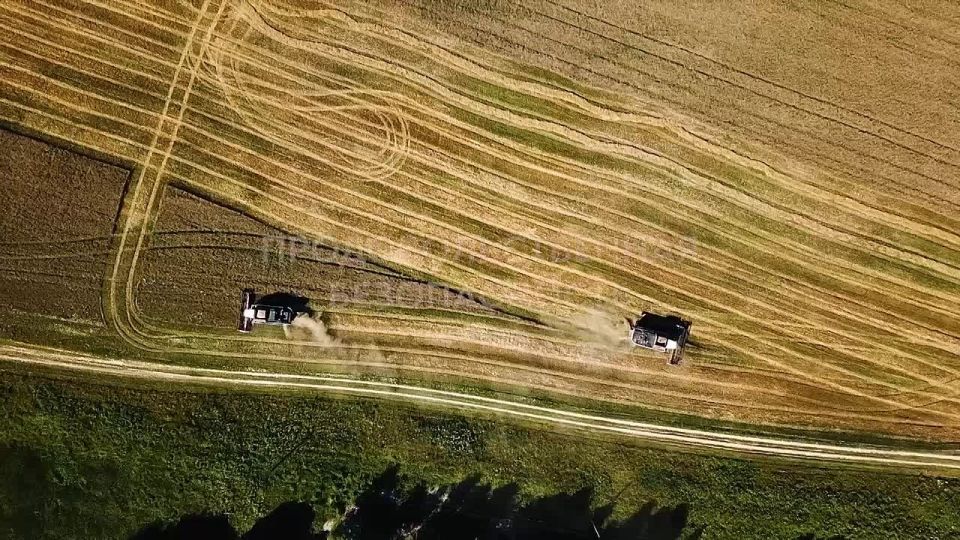 ����������� ������ ������� �����-����������� � ���, ��� �������� ���������� ������ �������� ���������