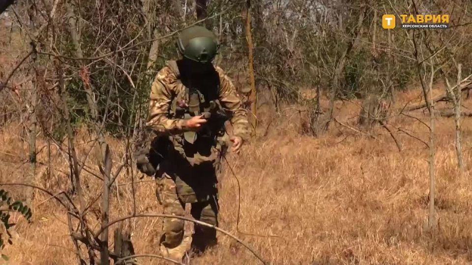 �������������� �� ����������� ����� "�����" ��������� �������������� ������� ��� �� ������ ������ ������