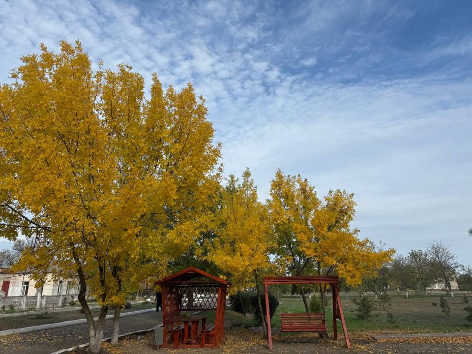 ������ ����, ��������� �����!