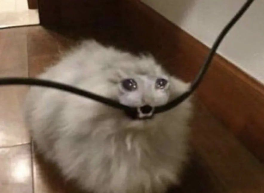 �������� ������. � �������� ���������� ���������� �� ���������� ��������� � �������� ���