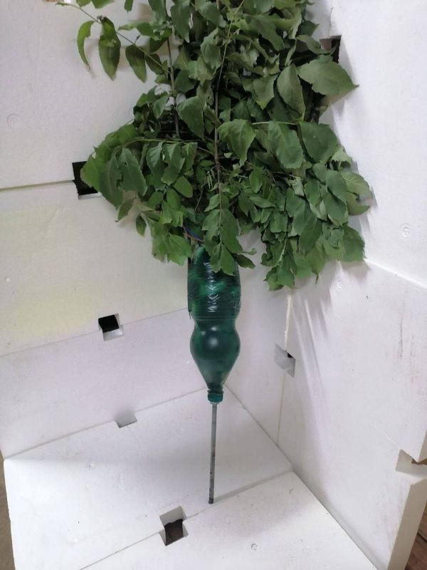 Владимир Сальдо: Вследствие обстрелов киевского режима получили повреждения несколько гражданских объектов