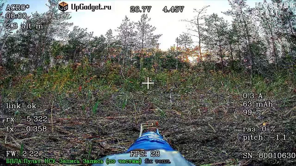 �������� ��������� ������, ����� ���������, ��� � FPV-������ � ������� ��� � �������