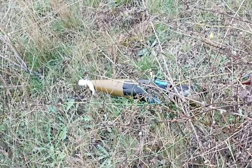 ��� �� ���� ���� ������� ����� �� 15 �������, ����� � ��������