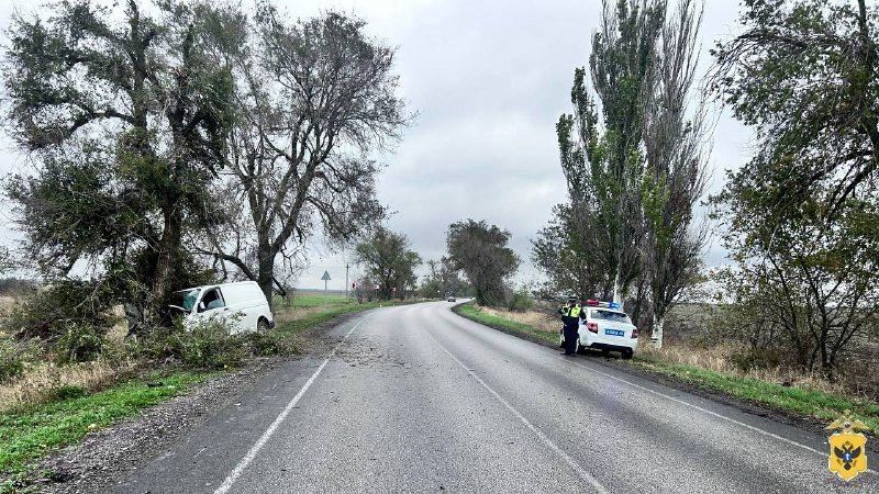 � ���������� ������ ��������� ��� � �������������