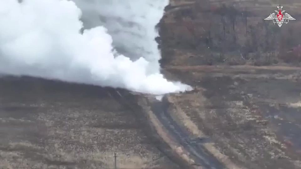  :       ,      - ,   ,   ,    