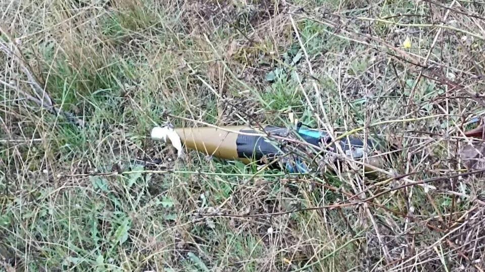 ����������� ��������� ���: ������� ��� ������ ������ ���������� �������