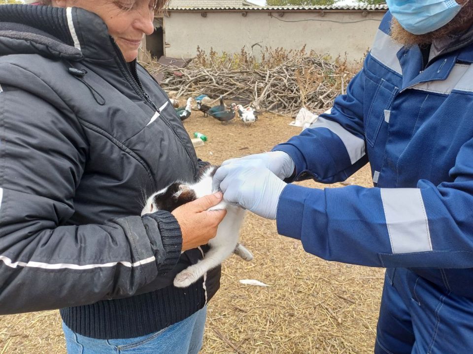 В Великолепетихском муниципальном округе проводятся противоэпизоотические мероприятия по ликвидации вспышки бешенства