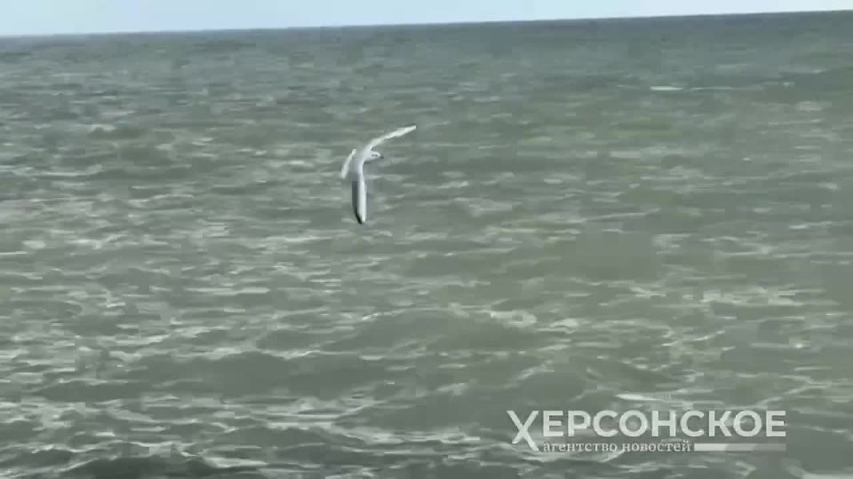 ������� ���������� ���� ����������� ����