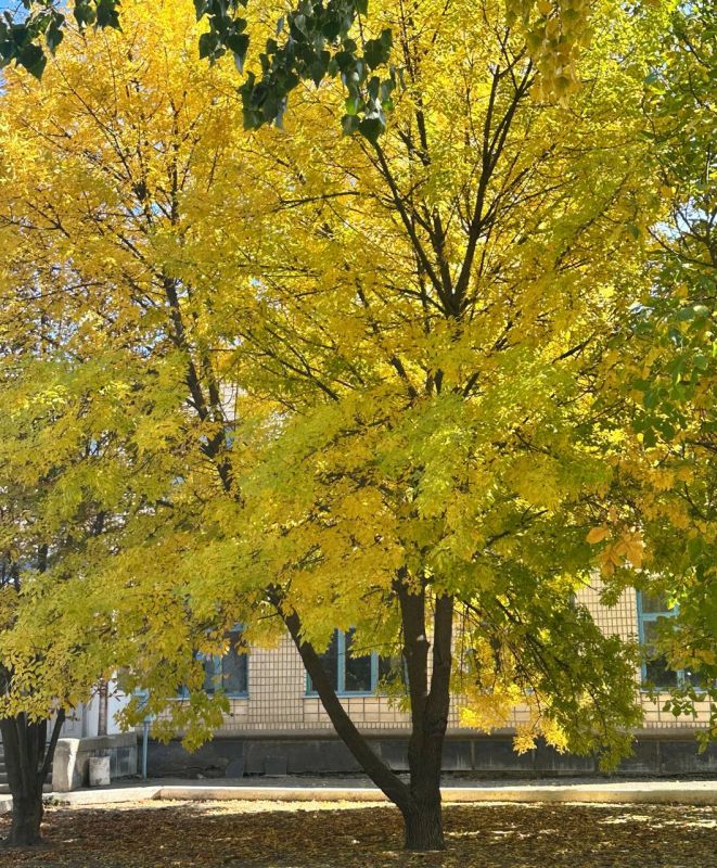 ������ ����, ������� ������ ����������� �������������� ������!