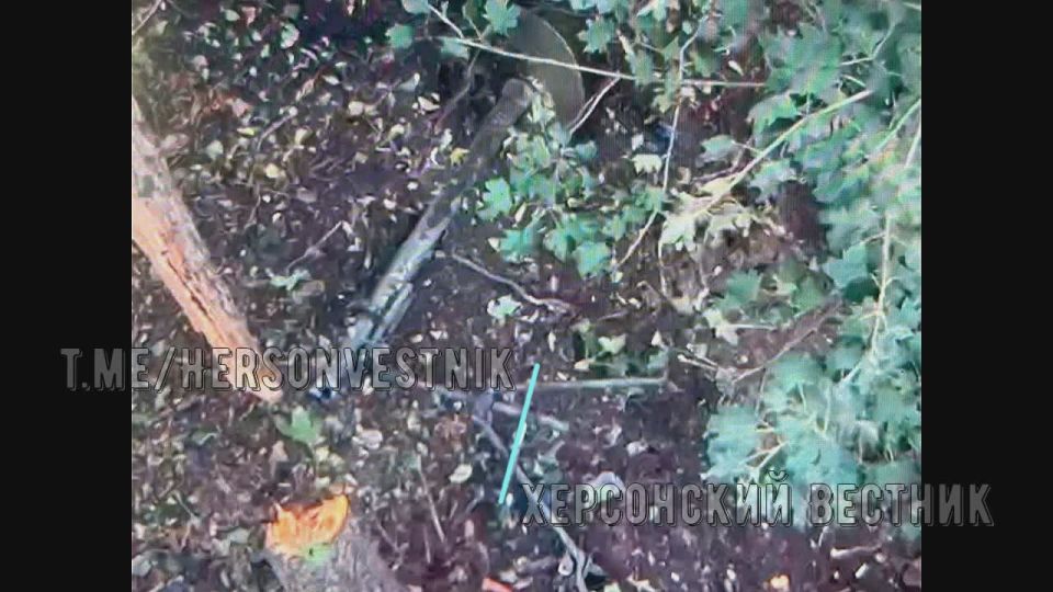 #���������. FPV-����� �� ����������� 34 ����� (������) ���������� ������� �����!