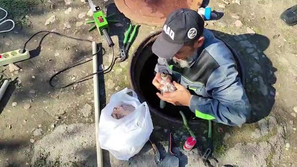 ����������� �� ���������-�������� ������������ ������ �������� ���� � ���� ��������� ����������� ������