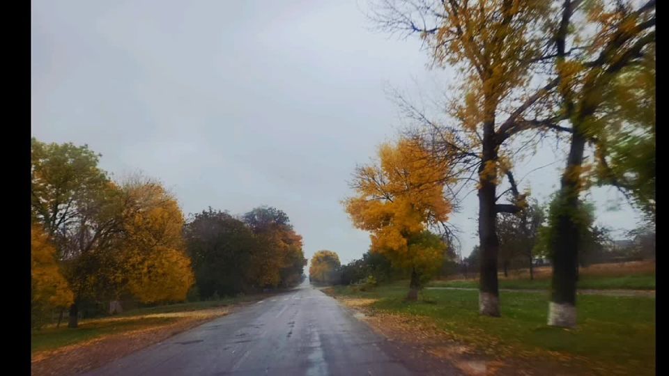 ������ ����, ���� ������� ����������!